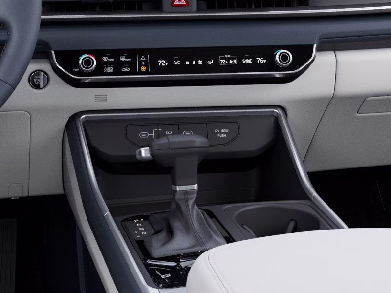 2026 Panthera Metal Kia Carnival EX FWD Van