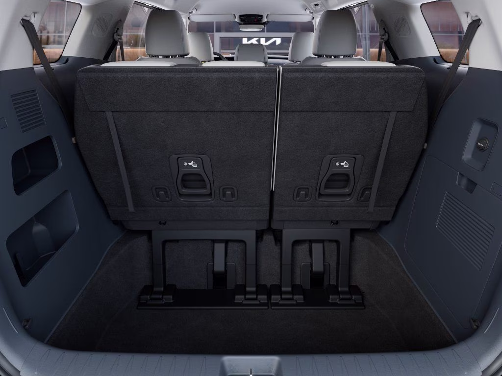 2026 Panthera Metal Kia Carnival EX FWD Van