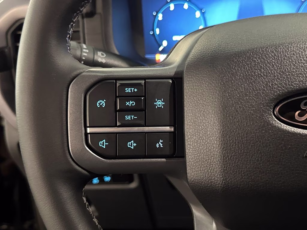 2025 Agate Black Metallic Ford F-150 XLT 4X4 Truck