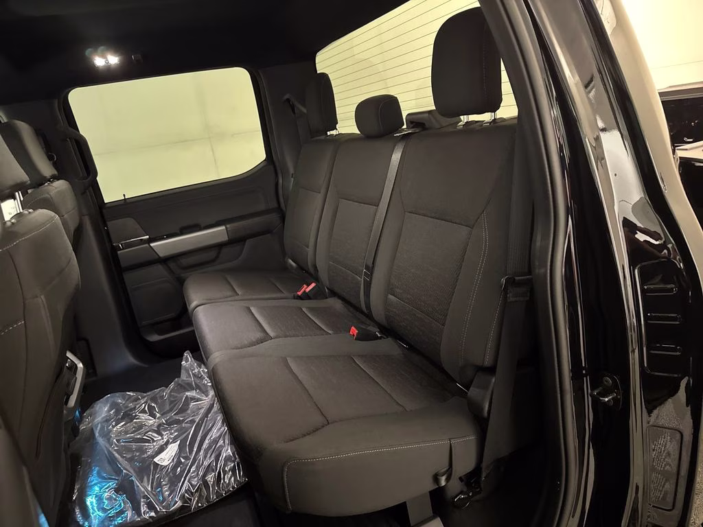 2025 Agate Black Metallic Ford F-150 XLT 4X4 Truck