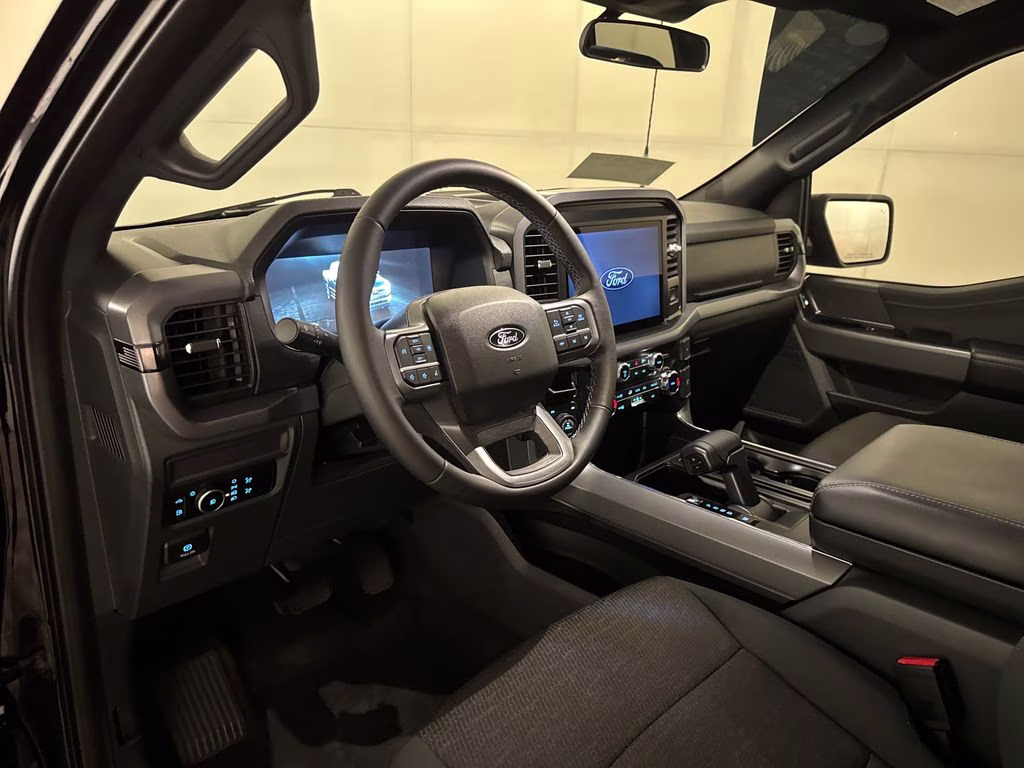 2025 Agate Black Metallic Ford F-150 XLT 4X4 Truck