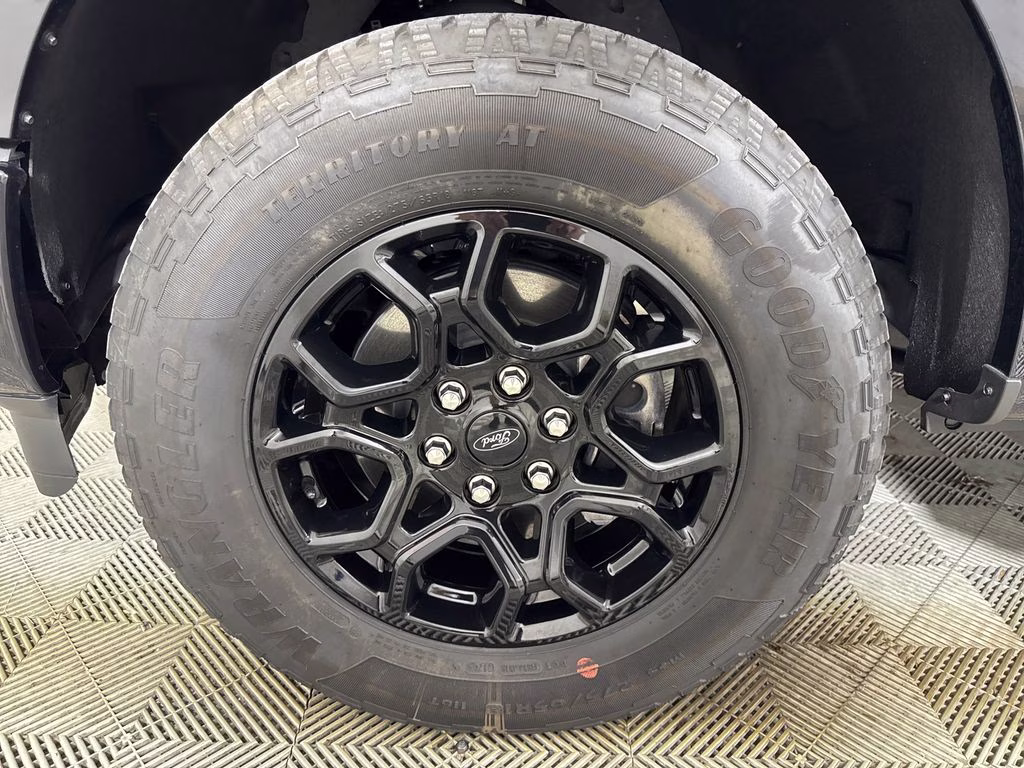 2025 Agate Black Metallic Ford F-150 XLT 4X4 Truck