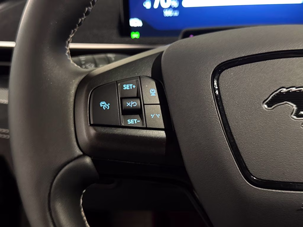 2025 Shadow Black Ford Mustang Mach-E GT AWD SUV