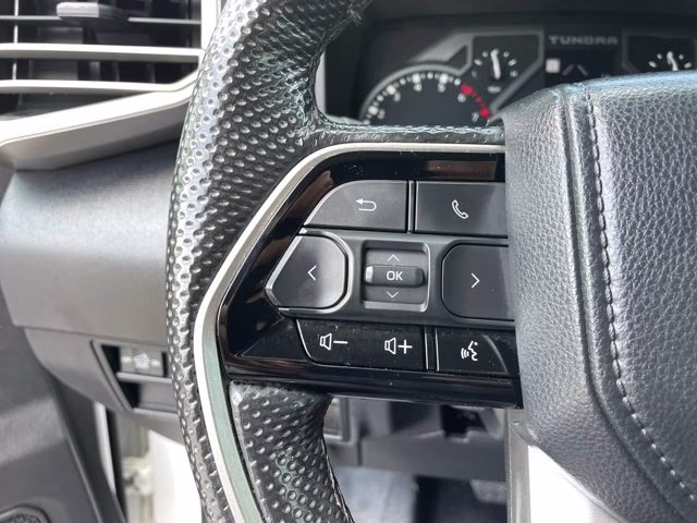 2024 Ice Toyota Tundra 4WD SR5 4X4 Truck