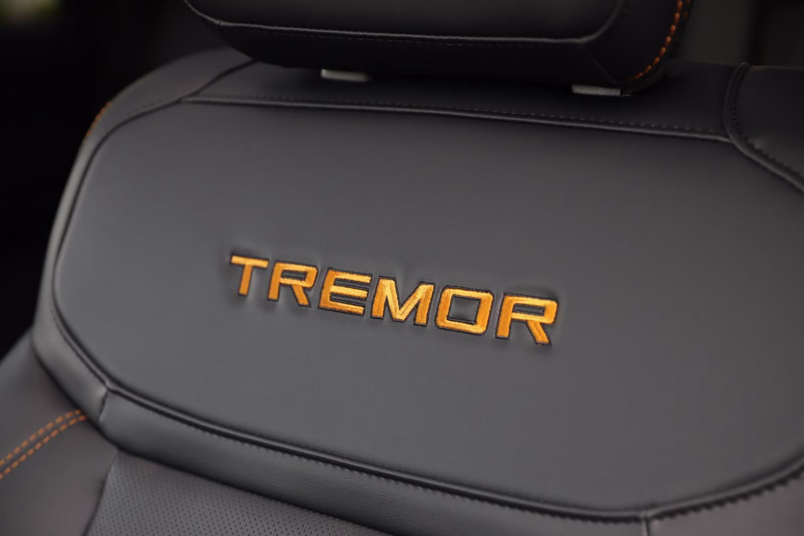 2026 Space Silver Ford Expedition Tremor 4X4 SUV