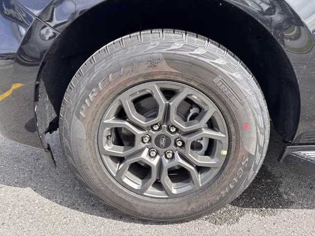 2026 Black Metallic Ford Expedition Active RWD SUV