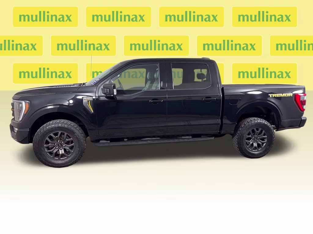 2023 Black Metallic Ford F-150 Tremor 4X4 Truck
