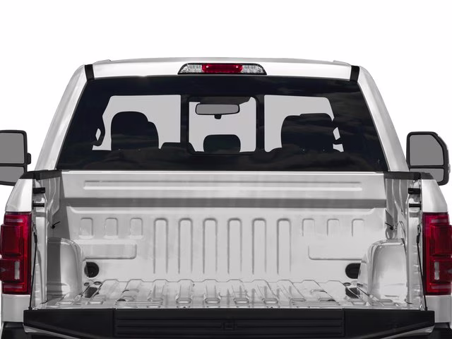 2017 Magnetic Ford F-150 Platinum 4X4 Truck