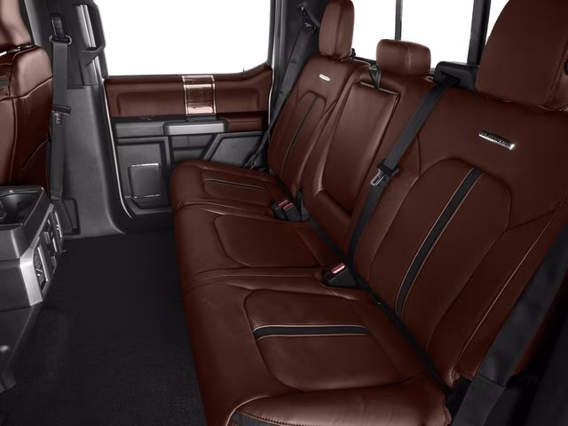 2017 Magnetic Ford F-150 Platinum 4X4 Truck