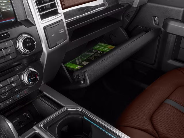 2017 Magnetic Ford F-150 Platinum 4X4 Truck