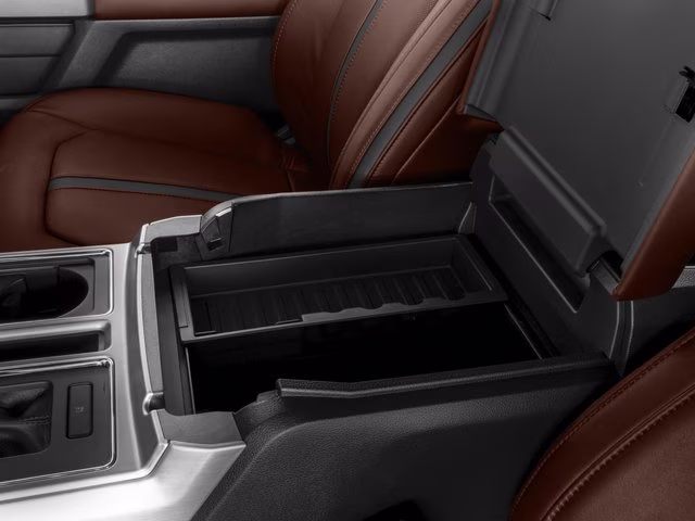 2017 Magnetic Ford F-150 Platinum 4X4 Truck