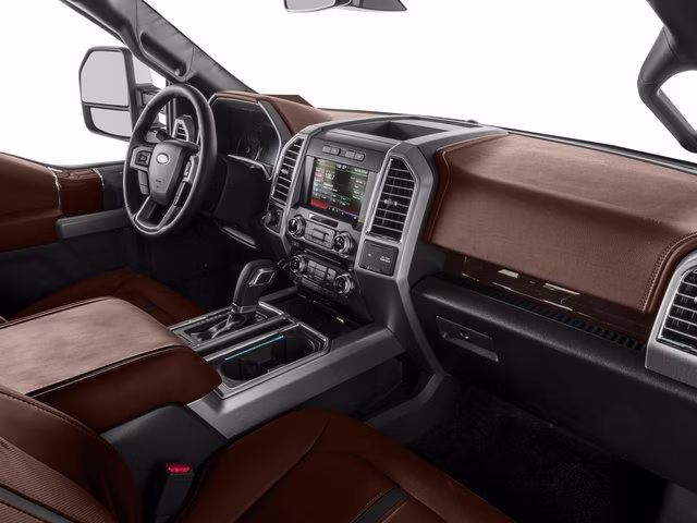 2017 Magnetic Ford F-150 Platinum 4X4 Truck