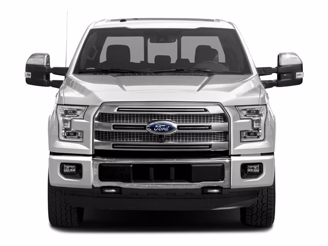 2017 Magnetic Ford F-150 Platinum 4X4 Truck