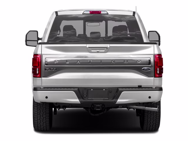 2017 Magnetic Ford F-150 Platinum 4X4 Truck