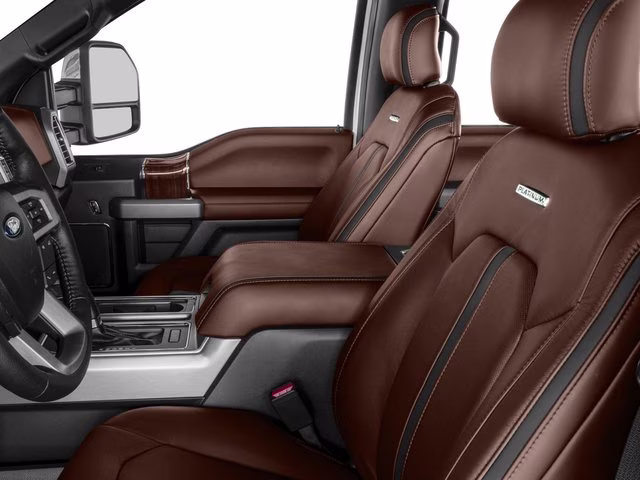 2017 Magnetic Ford F-150 Platinum 4X4 Truck