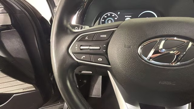 2022 Rainforest Hyundai Palisade Limited AWD SUV