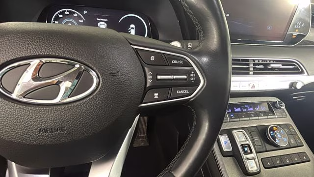 2022 Rainforest Hyundai Palisade Limited AWD SUV