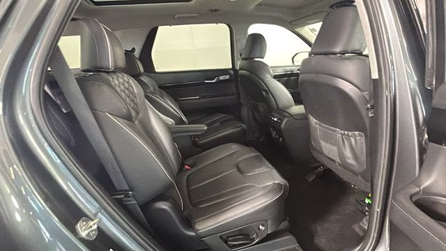 2022 Rainforest Hyundai Palisade Limited AWD SUV