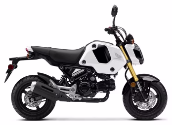 2024 Pearl White Honda Grom ABS Motorcycle