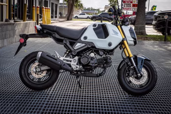 2024 Pearl White Honda Grom ABS Motorcycle