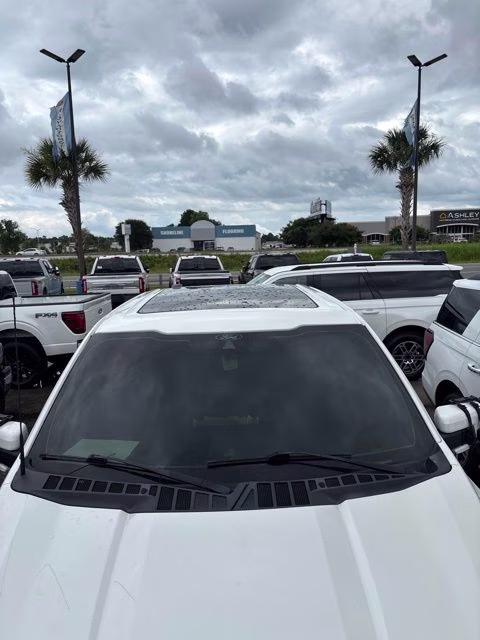 2021 White Ford F-150 Limited 4X4 Truck