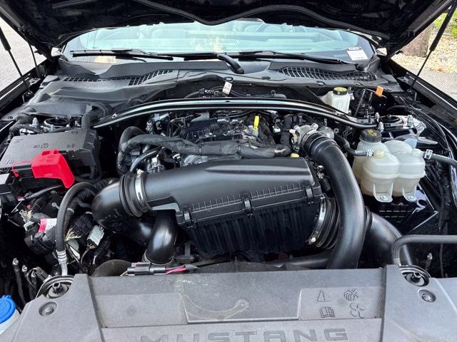 2025 Shadow Black Ford Mustang EcoBoost Premium RWD Convertible