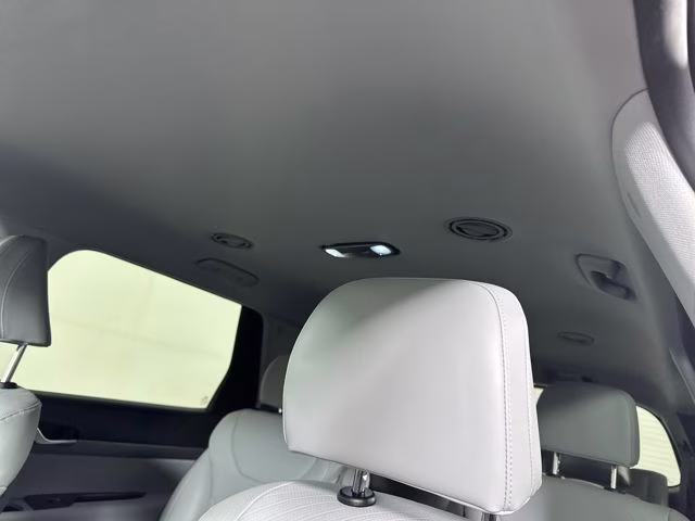 2025 Typhoon Silver Hyundai Palisade SEL AWD SUV