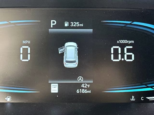 2025 Typhoon Silver Hyundai Palisade SEL AWD SUV