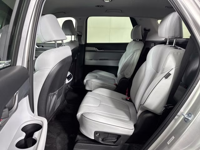 2025 Typhoon Silver Hyundai Palisade SEL AWD SUV