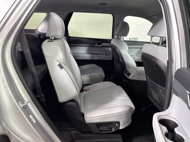 2025 Typhoon Silver Hyundai Palisade SEL AWD SUV