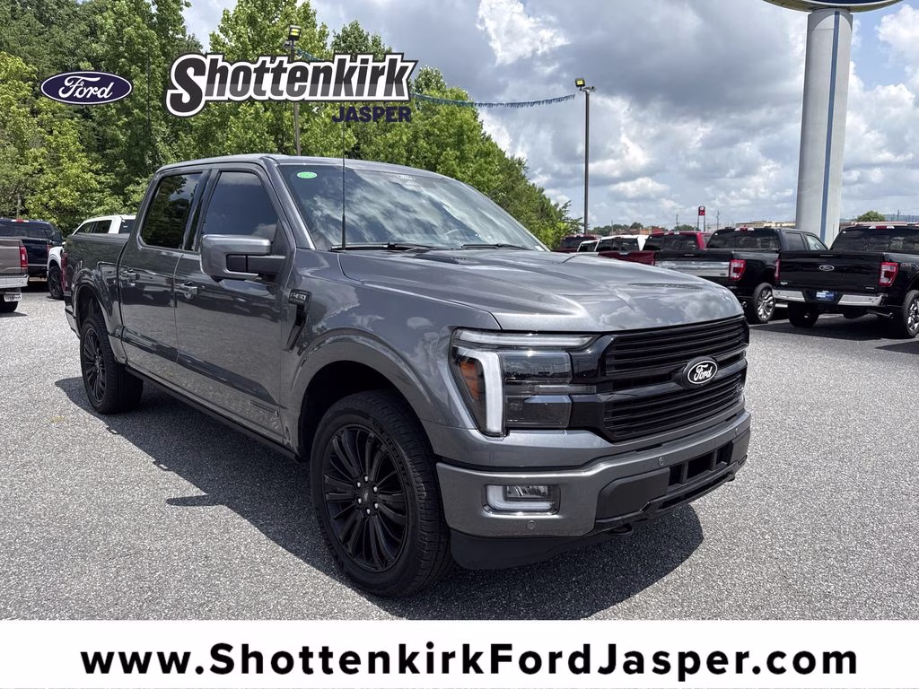 2025 Carbonized Gray Metallic Ford F-150 Platinum 4X4 Truck