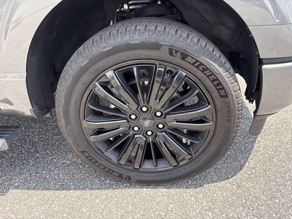 2025 Carbonized Gray Metallic Ford F-150 Platinum 4X4 Truck