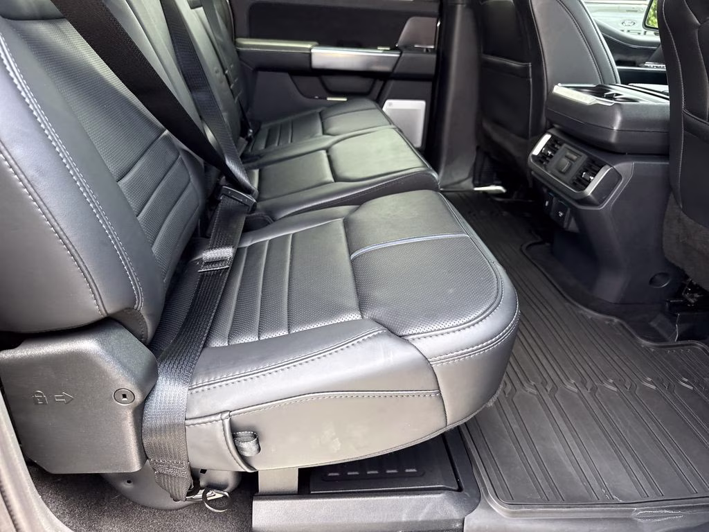 2025 Carbonized Gray Metallic Ford F-150 Platinum 4X4 Truck