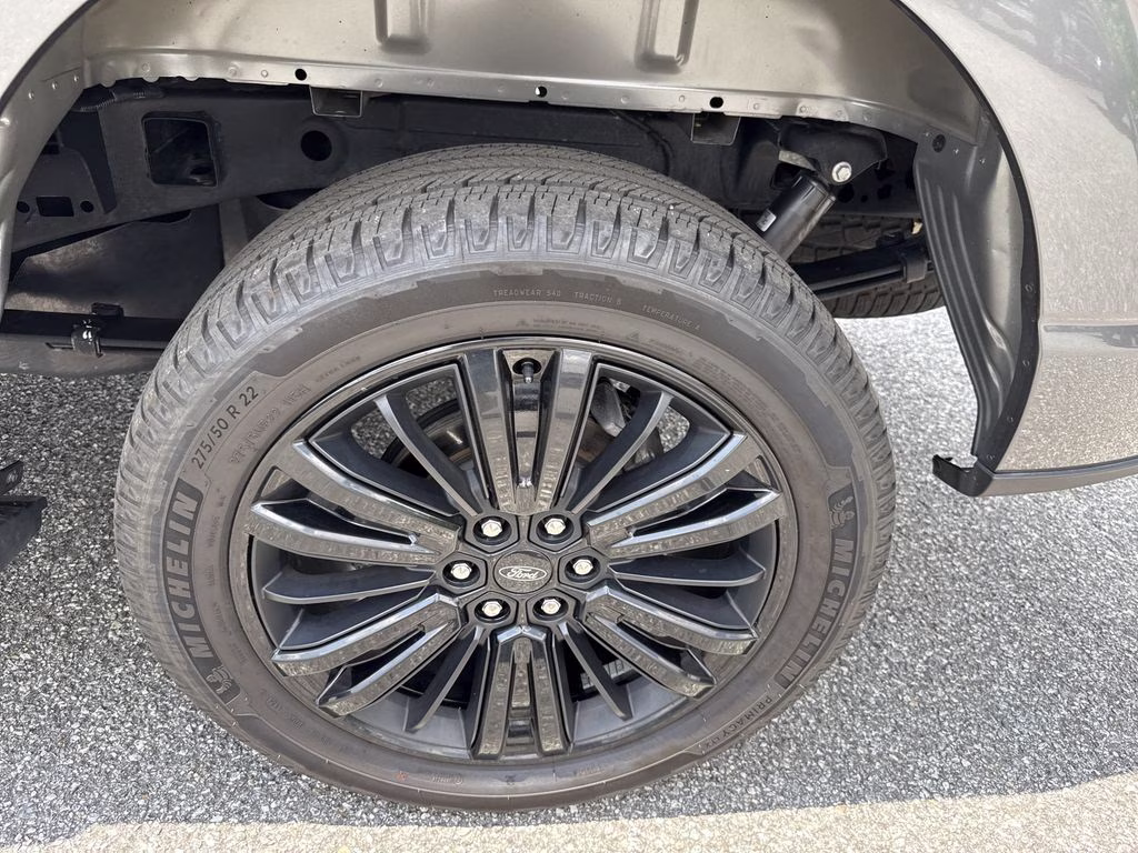 2025 Carbonized Gray Metallic Ford F-150 Platinum 4X4 Truck