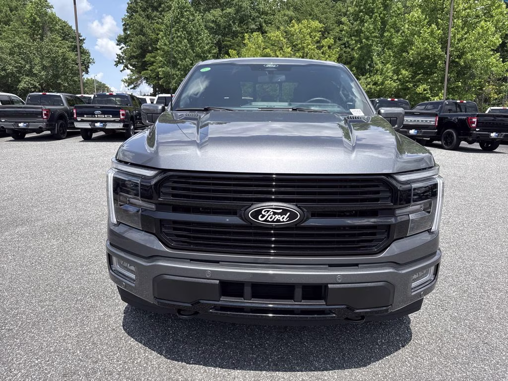 2025 Carbonized Gray Metallic Ford F-150 Platinum 4X4 Truck