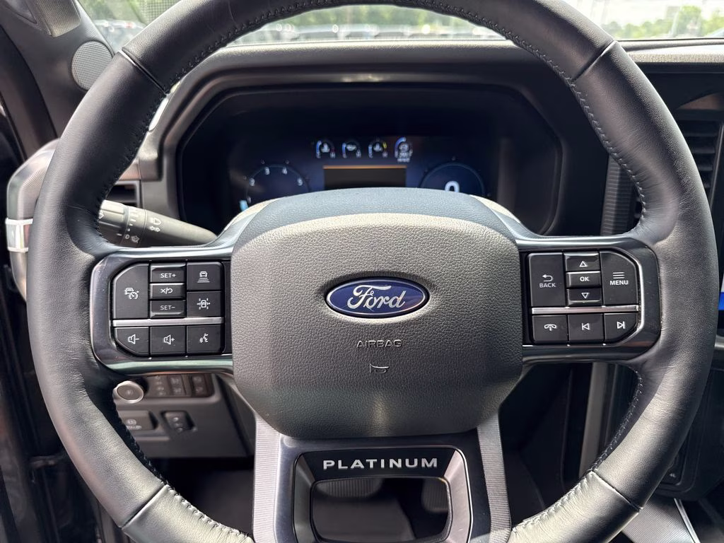 2025 Carbonized Gray Metallic Ford F-150 Platinum 4X4 Truck