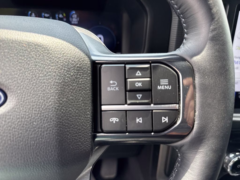 2025 Carbonized Gray Metallic Ford F-150 Platinum 4X4 Truck