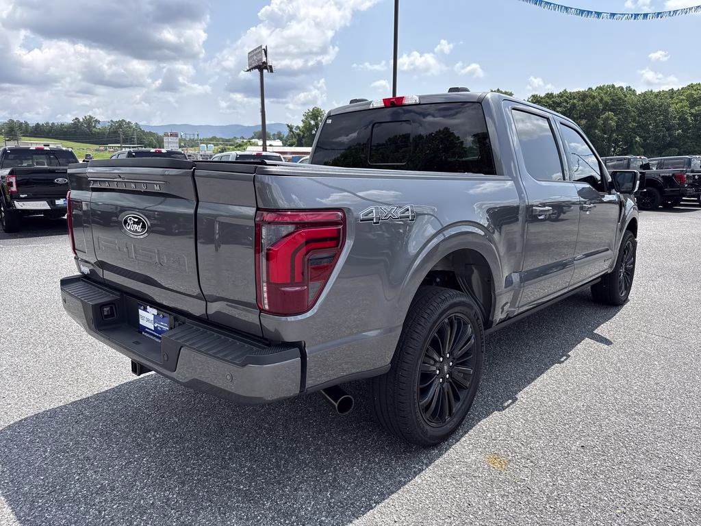 2025 Carbonized Gray Metallic Ford F-150 Platinum 4X4 Truck