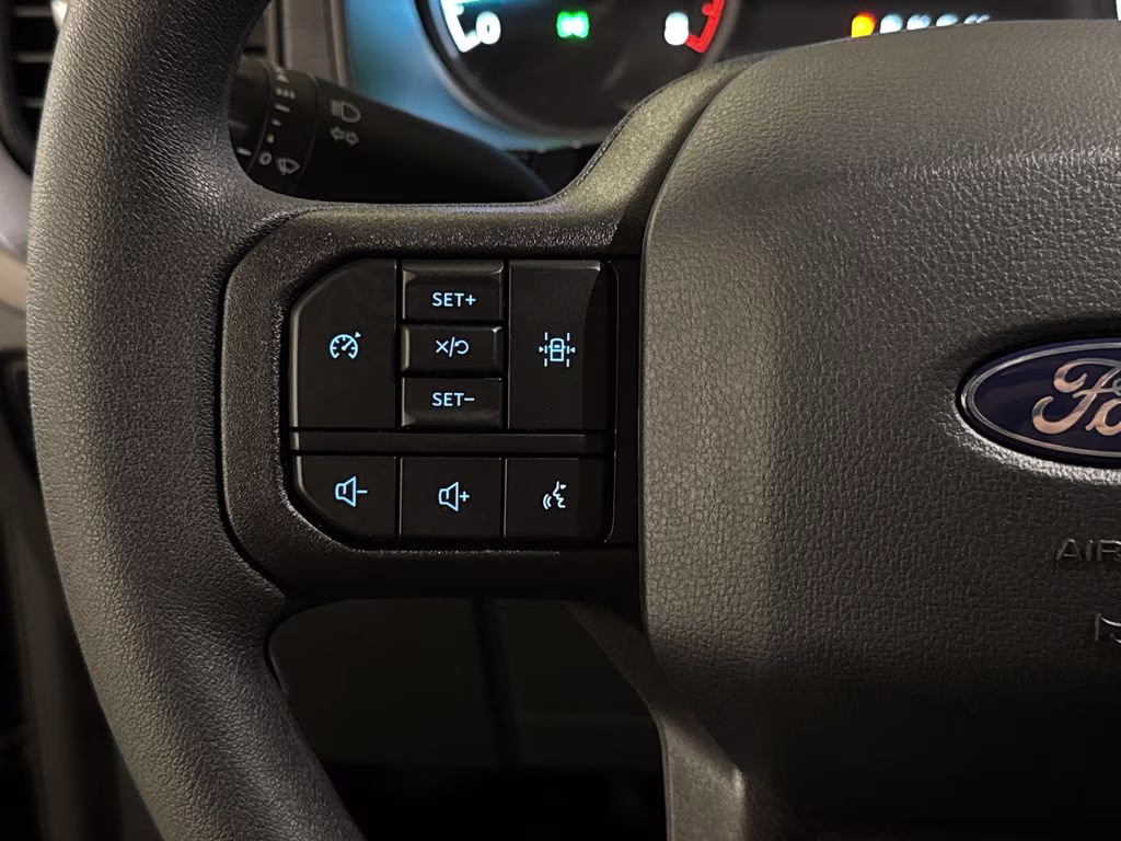 2026 Agate Black Metallic Ford F-150 XL RWD Truck