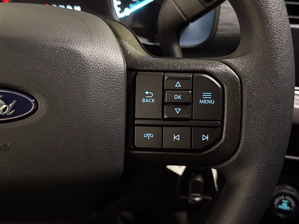 2026 Agate Black Metallic Ford F-150 XL RWD Truck