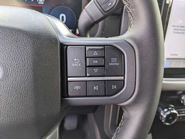 2026 Marsh Gray Ford F-150 XLT RWD Truck