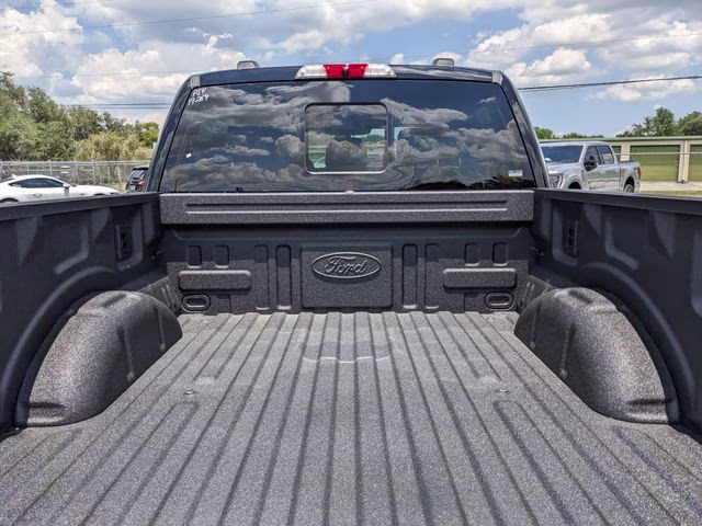 2026 Agate Black Metallic Ford F-150 Platinum 4X4 Truck