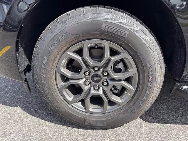 2026 Black Metallic Ford Expedition Active RWD SUV