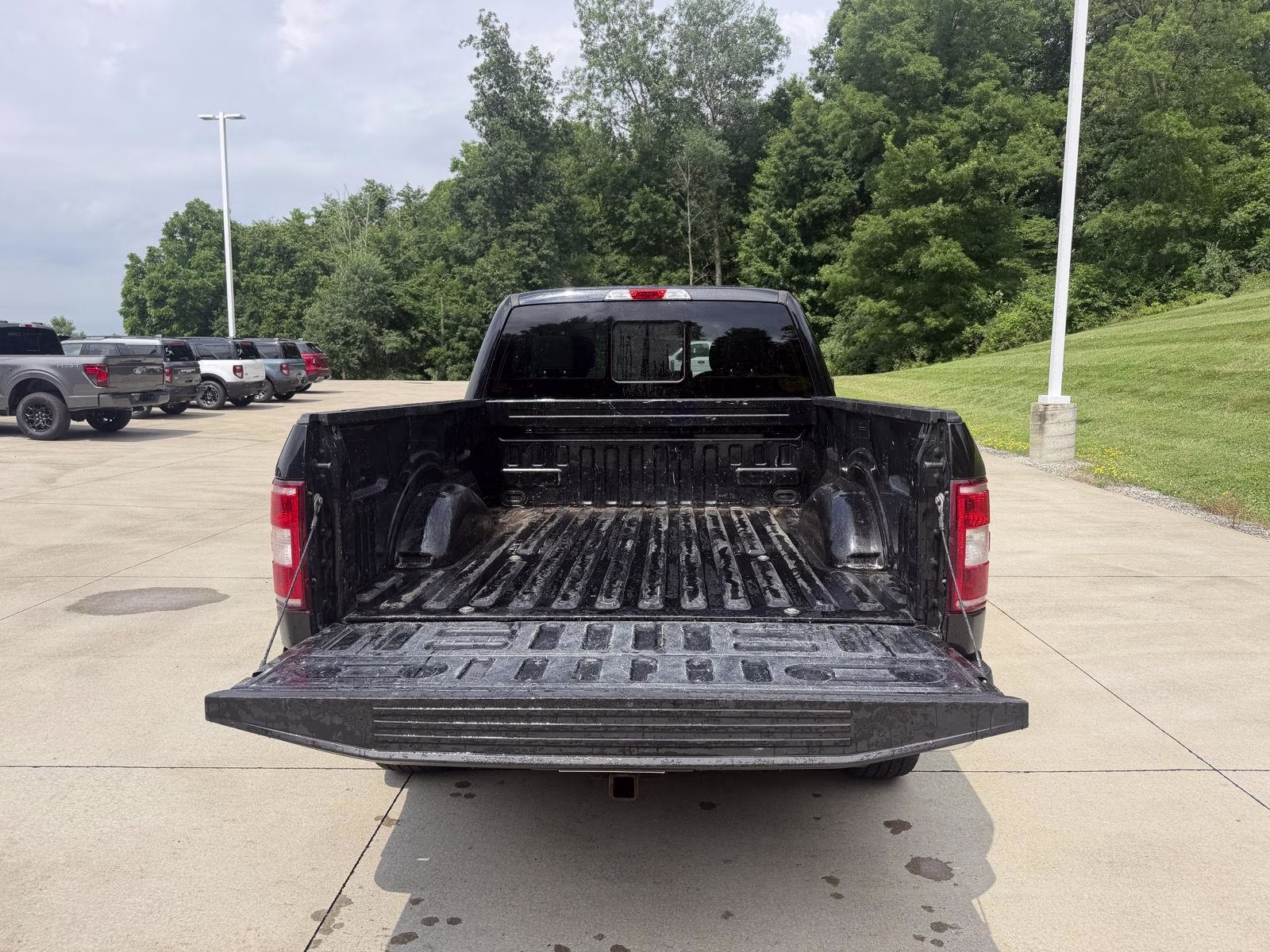 2019 Agate Black Ford F-150 XLT 4X4 Truck