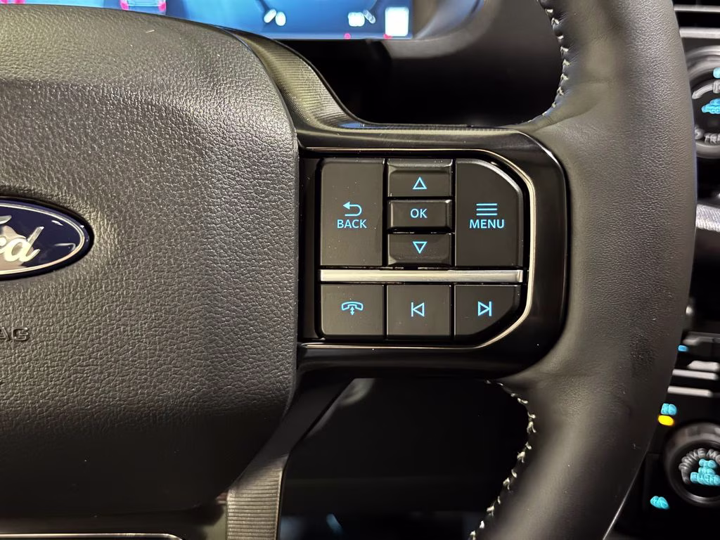 2026 Avalanche Ford F-150 Platinum 4X4 Truck