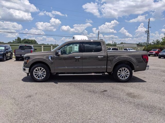 2026 Marsh Gray Ford F-150 XLT RWD Truck