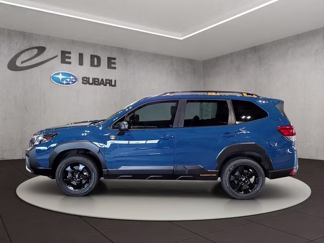 2024 Geyser Blue Subaru Forester Wilderness AWD SUV
