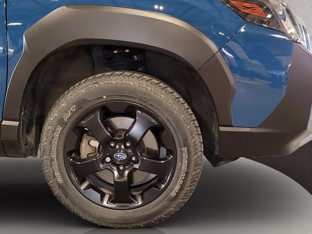2024 Geyser Blue Subaru Forester Wilderness AWD SUV