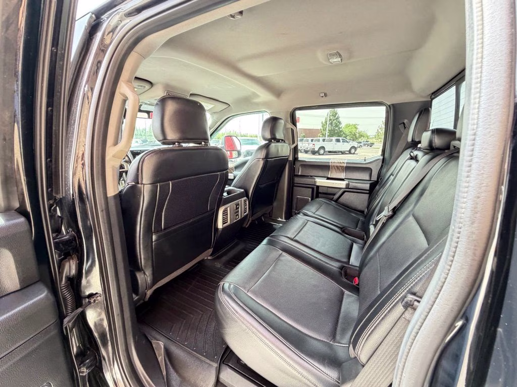 2017 Black Ford Super Duty F-250 SRW Platinum 4X4 Truck
