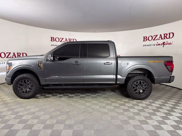 2025 Gray Metallic Ford F-150 Tremor 4X4 Truck